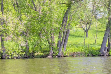Nehir, Doğa, gökyüzü, ağaç, mavi, yeşil, peyzaj, yaz, su, bulut.