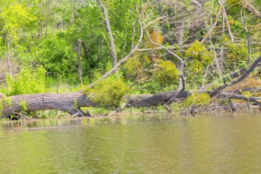 Nehir, Doğa, gökyüzü, ağaç, mavi, yeşil, peyzaj, yaz, su, bulut.