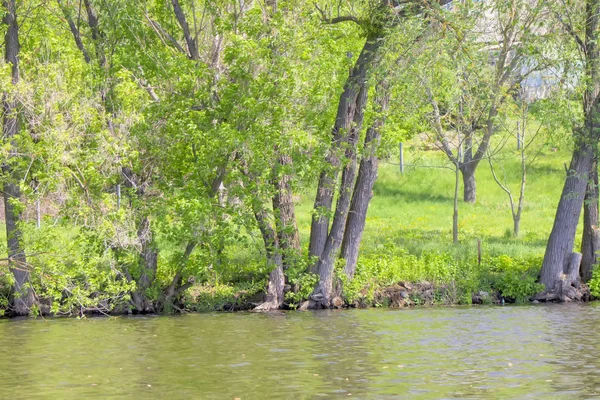 Nehir, Doğa, gökyüzü, ağaç, mavi, yeşil, peyzaj, yaz, su, bulut.