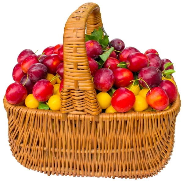 Basket Cherry Plum Plums — Stock Photo, Image