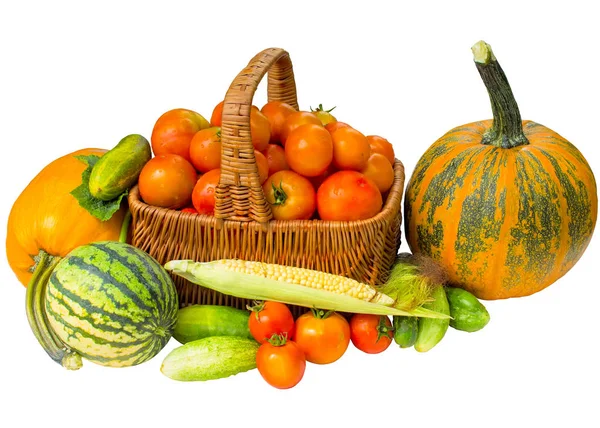 Isolado Comida Outono Tomate Melancia Abóbora Pepinos Fundo Comer Saudável — Fotografia de Stock
