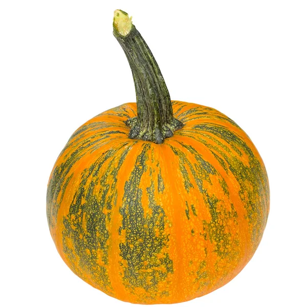 Pompoen Halloween Groente Vers Decoratie Oranje Geïsoleerde Rijp Seizoensgebonden Decoratieve — Stockfoto