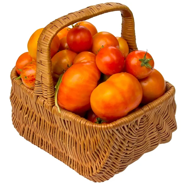 Tomato Basket Isolated Red Ripe Vegetable Wicker Food Freshness Green — Stock Photo, Image