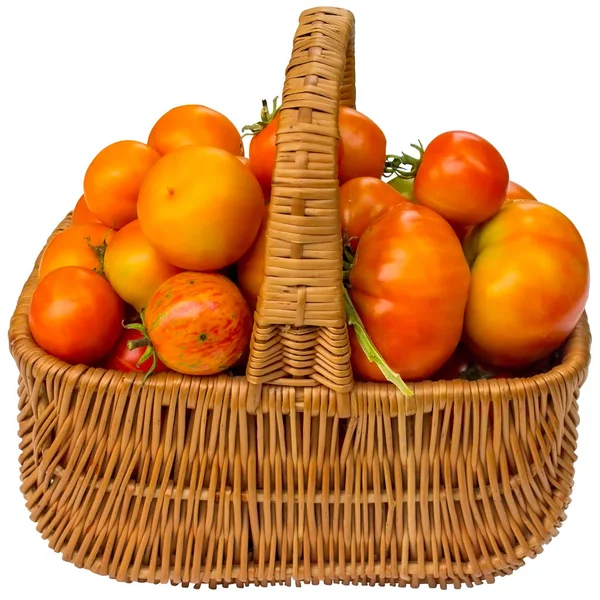 Tomato Basket Isolated Red Ripe Vegetable Wicker Food Freshness Green — Stock Photo, Image