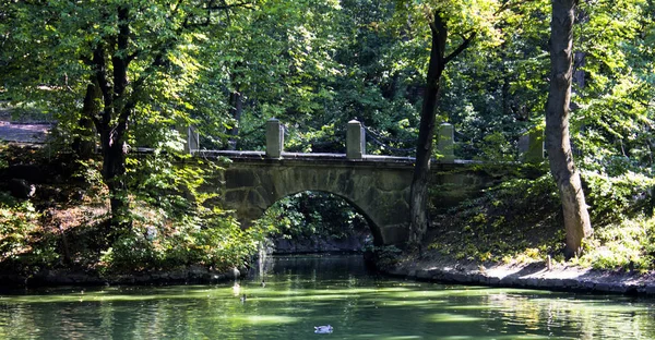 Puente Medio Ambiente Europa Verde Paisaje Naturaleza Outdoor Parque Sophia — Foto de Stock