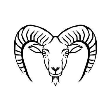 Vektör Mouflon çizim beyaz arka planda yalıtılmış