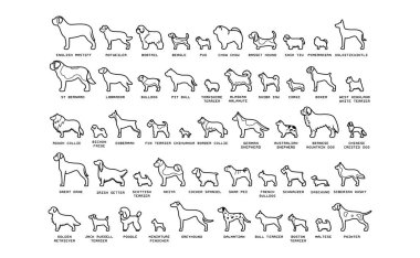 Vector set karikatür köpekler beyaz arka planda Izole