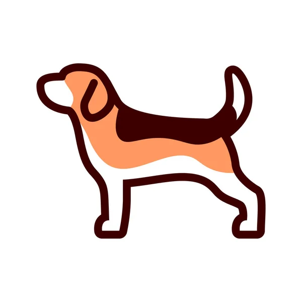 Vector Beagle Dog Icon Isolado Fundo Branco —  Vetores de Stock