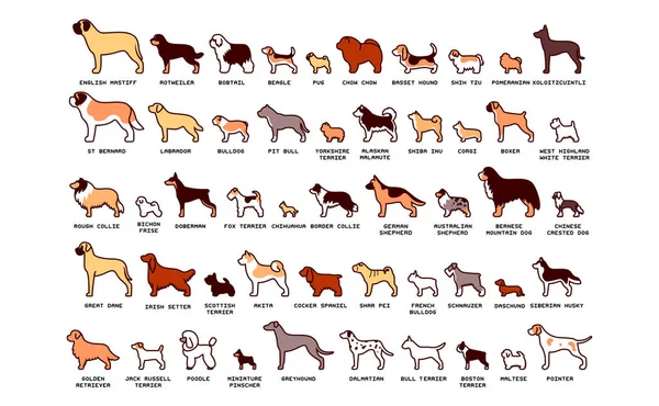 Vector Set Van Cartoon Honden Geïsoleerd Witte Achtergrond — Stockvector