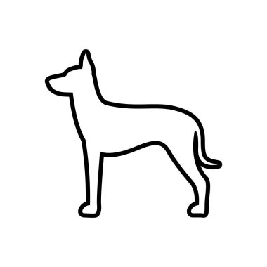 Vektör Xoloitzcuintli köpek simgesi beyaz arka planda yalıtılmış