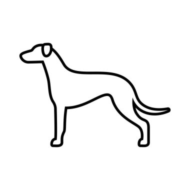 Vektör Greyhound köpek simgesi beyaz arka planda Izole