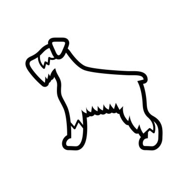 Vektör Schnauzer köpek simgesi beyaz arka planda Izole