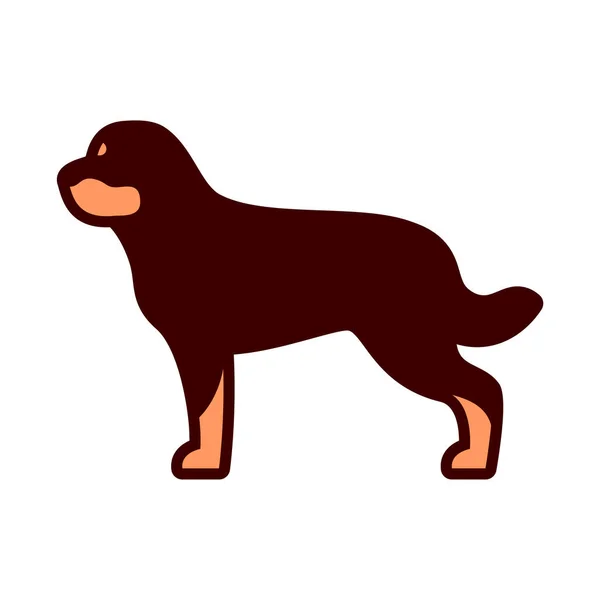 Vetor Rotweiler Dog Icon Isolado Fundo Branco — Vetor de Stock