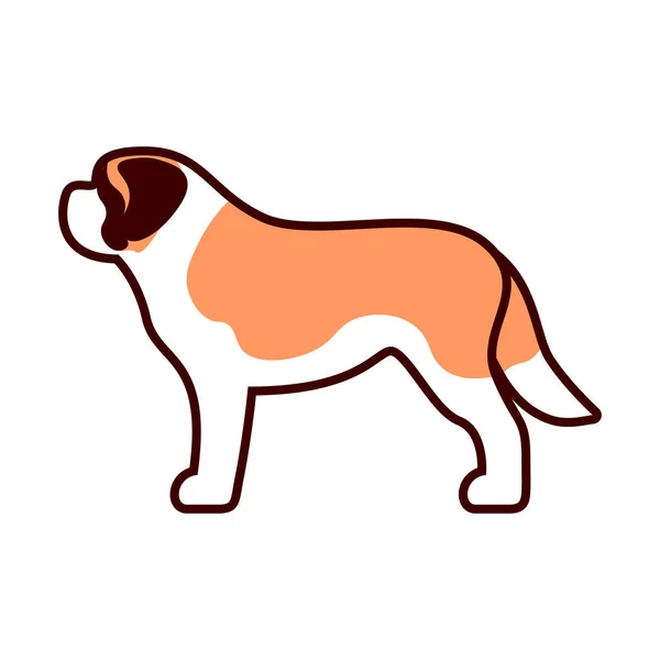 Vector Bernard Dog Icon Isolated White Background — Stock Vector