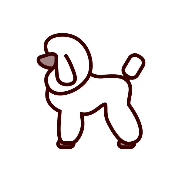 Vektor Poodle Dog Icon Isolerad Vit Bakgrund — Stock vektor