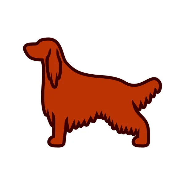Векторні Ірландські Setter Dog Ізольовані Білому Тлі — стоковий вектор