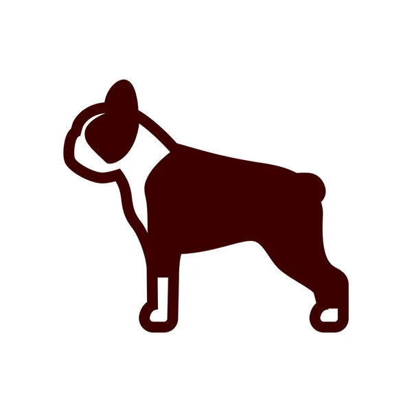 Vector Boston Terrier Dog Icon Geïsoleerd Witte Achtergrond — Stockvector