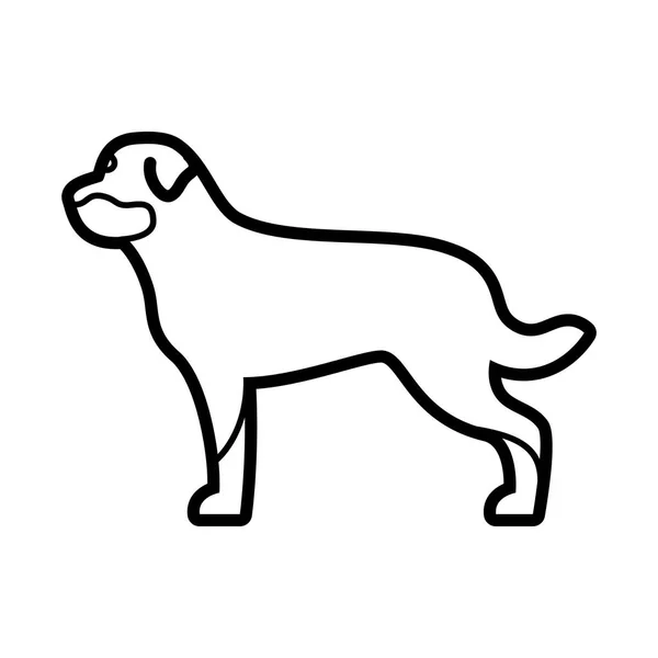 Ikona Vektorového Rotweiler Dog Samostatná Bílém Pozadí — Stockový vektor