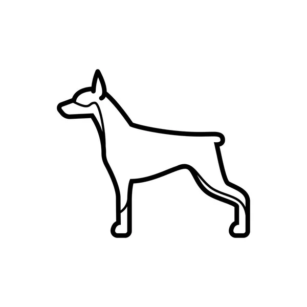 Vector Doberman Dog Icon Isolerad Vit Bakgrund — Stock vektor