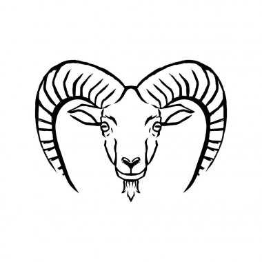 Beyaz arka planda yalıtılmış mouflon Illüstrasyon