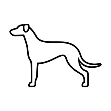 Greyhound köpek simgesi beyaz arka planda Izole