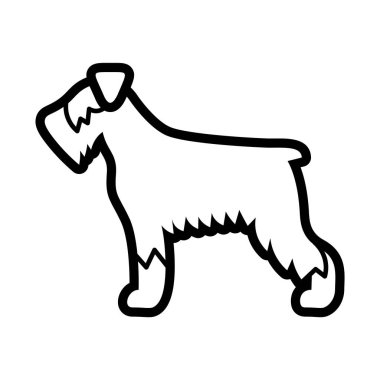 Beyaz arka planda Izole Schnauzer köpek simgesi