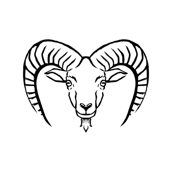Mouflon illustration isolerad på vit bakgrund — Stock vektor