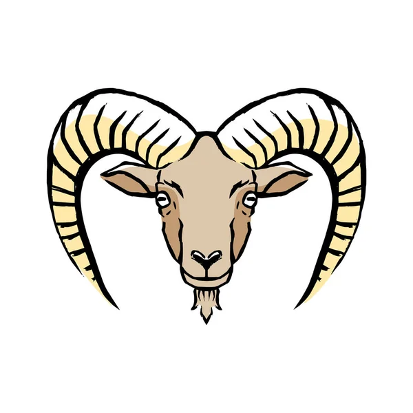 Mouflon Illustration Isolated On White Background — Stock Vector