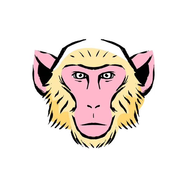 在白色背景中孤立的猴子插图 — 图库矢量图片