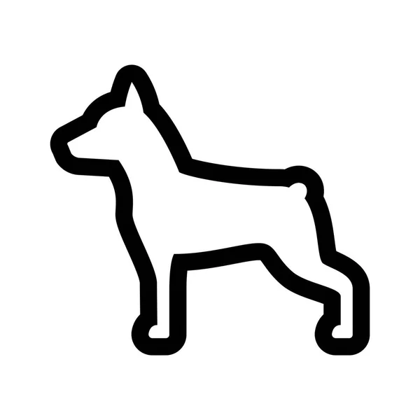 Miniatura Pinscher perro icono aislado sobre fondo blanco — Vector de stock
