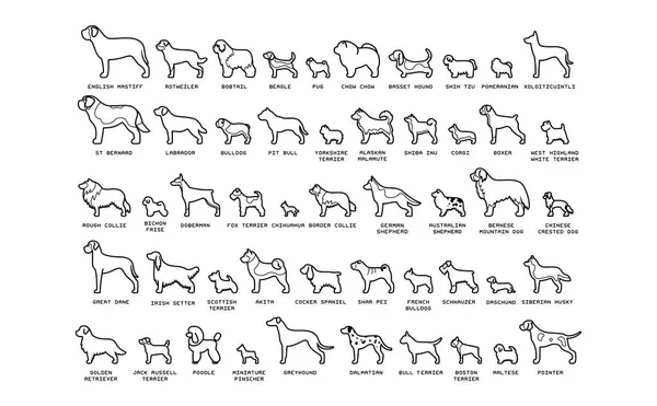 Ensemble de chiens de bande dessinée isolés sur fond blanc — Image vectorielle