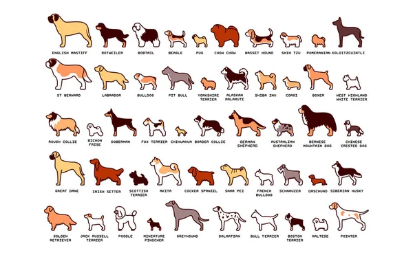 Vector Set Of Cartoon Dogs Isolated On White Background — Stock Vector