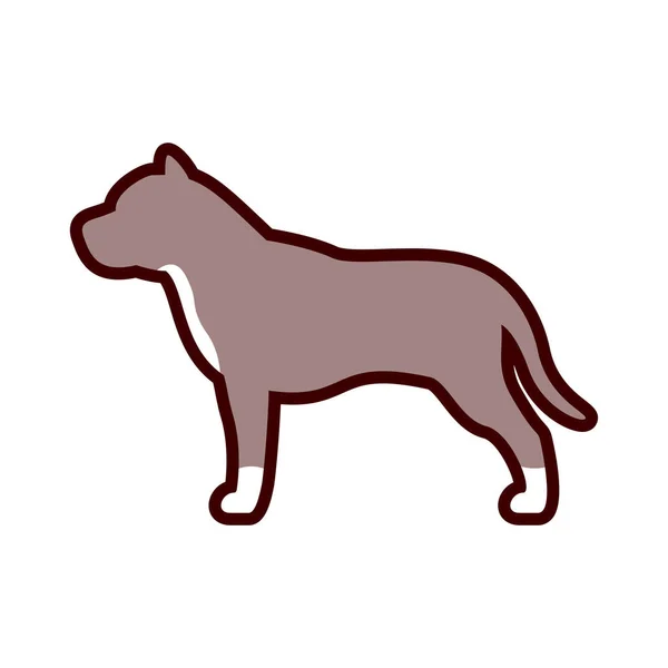 白い背景に孤立したピットブル犬のアイコン — ストックベクタ