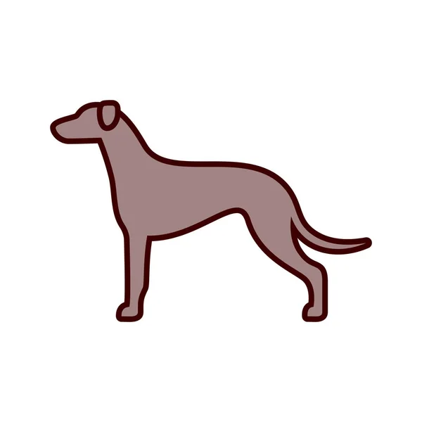 Icono de perro galgo aislado sobre fondo blanco — Vector de stock