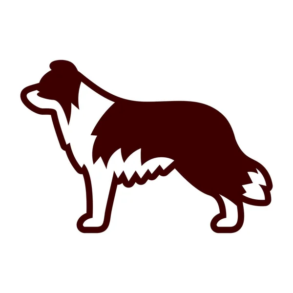 Border Collie perro icono aislado sobre fondo blanco — Vector de stock