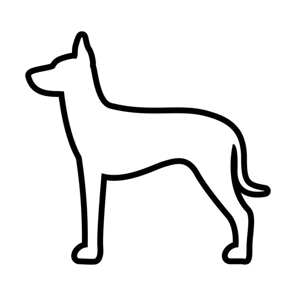 Icona per cani Xoloitzcuintli isolata su sfondo bianco — Vettoriale Stock