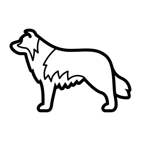 Border Collie perro icono aislado sobre fondo blanco — Vector de stock