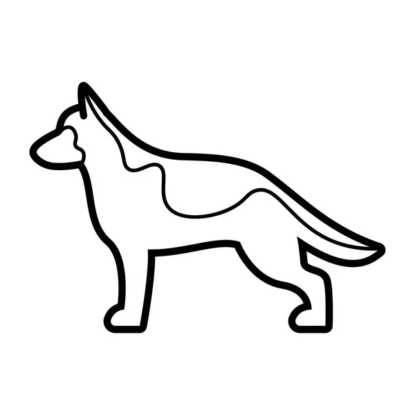 Pastor alemán perro icono aislado sobre fondo blanco — Vector de stock