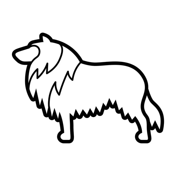 Rough Collie perro icono aislado sobre fondo blanco — Vector de stock