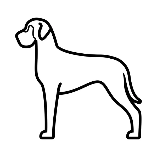 Nagy Dane Dog Icon izolált fehér háttér — Stock Vector