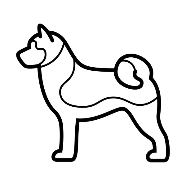 Ícone de cão Akita Inu isolado em fundo branco — Vetor de Stock