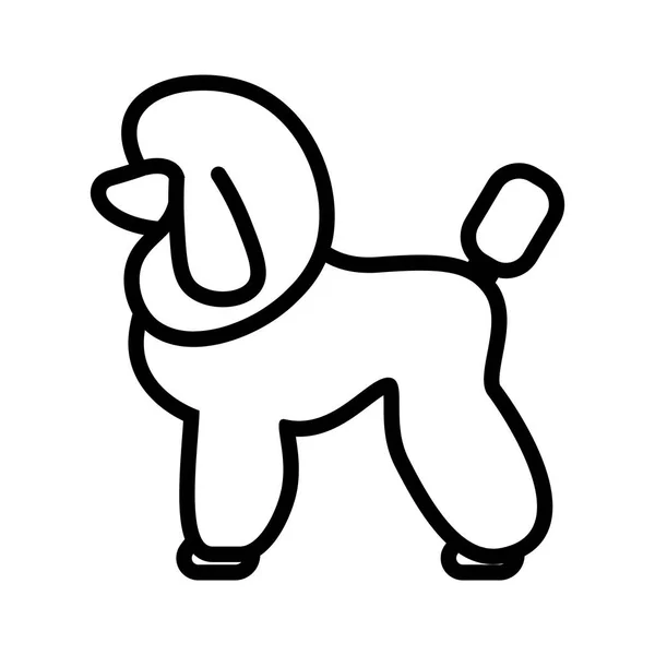 Poodle Dog Icon isolado em fundo branco — Vetor de Stock