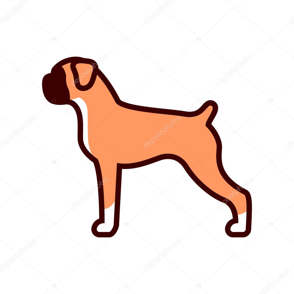 Boxer Dog Icon Isolated On White Background