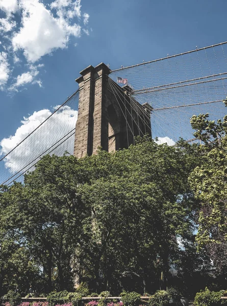 Бруклінський міст, піднімаючись над рослинністю — стокове фото