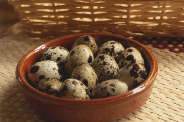 Taze bıldırcın yumurtası pişirmeye hazır