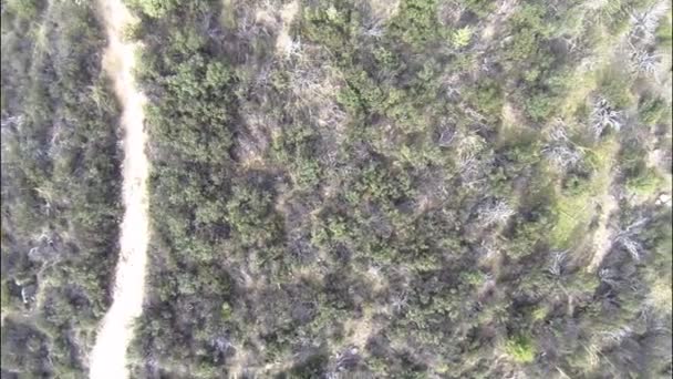 Drone Volando Sobre Área Campo Estrella Repentinamente Después Fallo Batería — Vídeo de stock