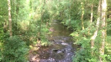 Turia Nehri, Asturias 'ın Taramundi bölgesinde yer alan ve yoğun yeşil bitki örtüsüyle çevrili küçük Mousen kasabasından geçer. 4K