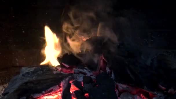 Yaklaş Şöminede Ateş Yak Odun Kömürle Barbekü Yap — Stok video