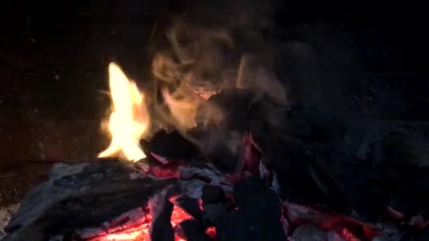 Primer Plano Chimenea Barbacoa Artesanal Con Leña Carbón Como Combustible — Vídeo de stock