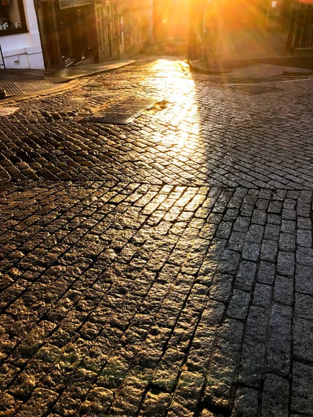 Üzerinde yosun büyüyen bir tuğla geçit. Tuğlalar siyah ve yürüyüş yolu ıslak. Birleşik Krallık